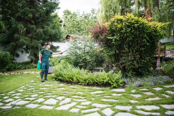 Best Pest Prevention Services  in Jackson, KY