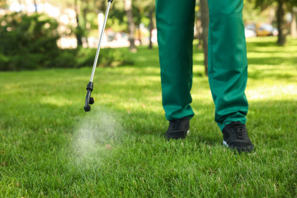 Best Residential Pest Control  in Jackson, KY