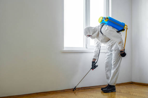 Best Pest Prevention Services  in Jackson, KY