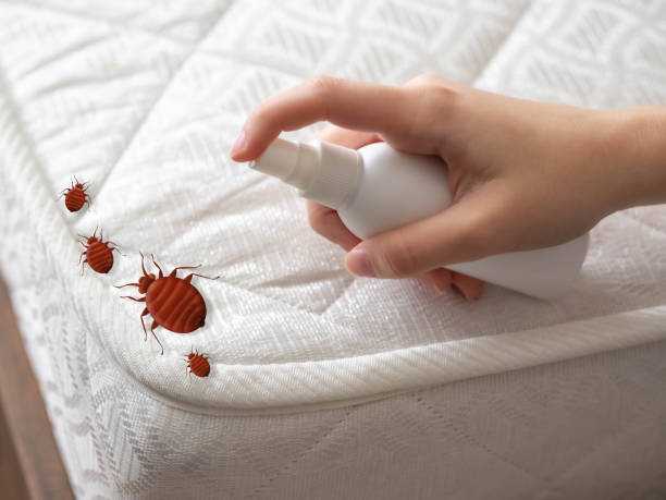 Best Commercial Pest Control Services  in Jackson, KY
